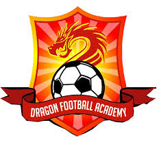 Thiết kế logo bóng đá đẹp giá rẻ