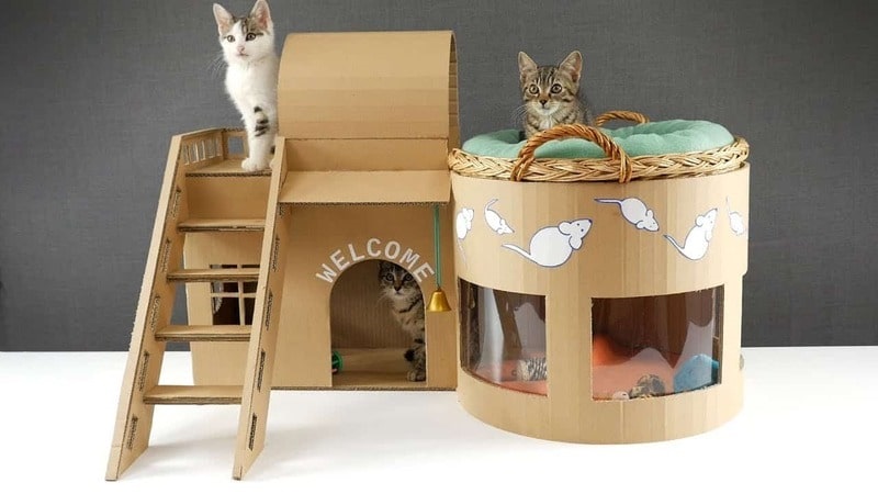 Chia sẻ cách làm đồ chơi cho mèo bằng thùng carton hiệu quả, tiết kiệm